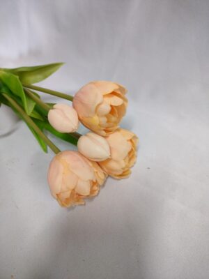 Pak tulp zalm 5 stuks