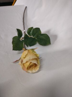Roos dik geel