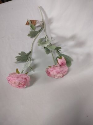 Tak roze ranonkel