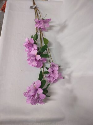 Rhododendron paars