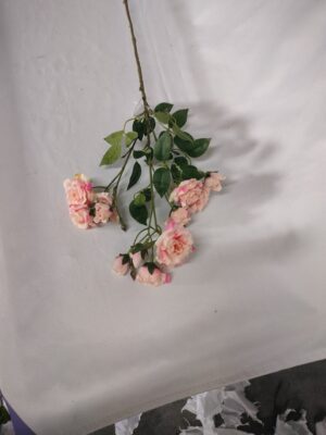tak kleine gevlamde roosjes zalm,roze