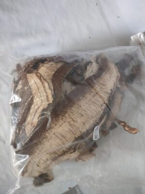 Funghi slices