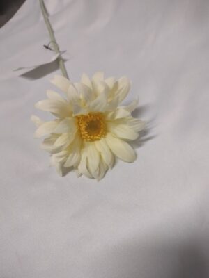 Germini spray Yellow