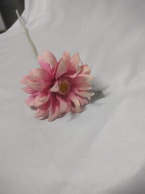 Germini spray Pink