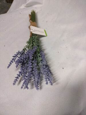 Lavendel