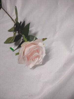 Rose Simona light pink