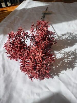 Allium spray burgundy 62cm