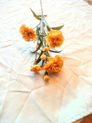 Dianthus spray beige 70cm