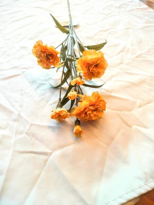 Dianthus spray beige 70cm