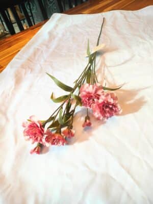 Dianthus spray old pink 70cm
