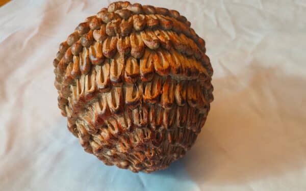 Dennenappel groot