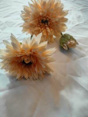 Helianthus spray cream