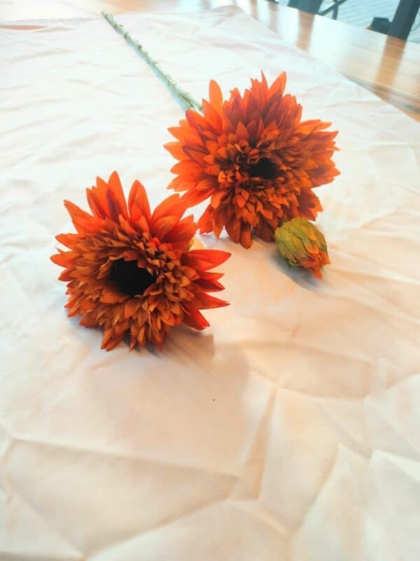 Helianthus spray orange