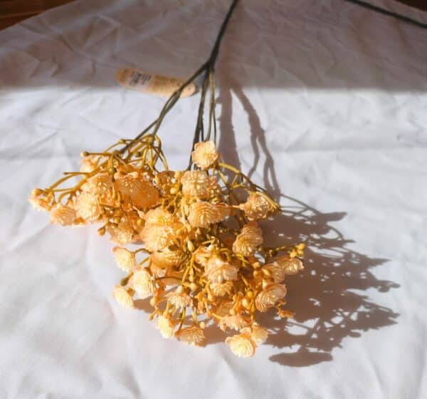 Gypsophila spray beige 68cm